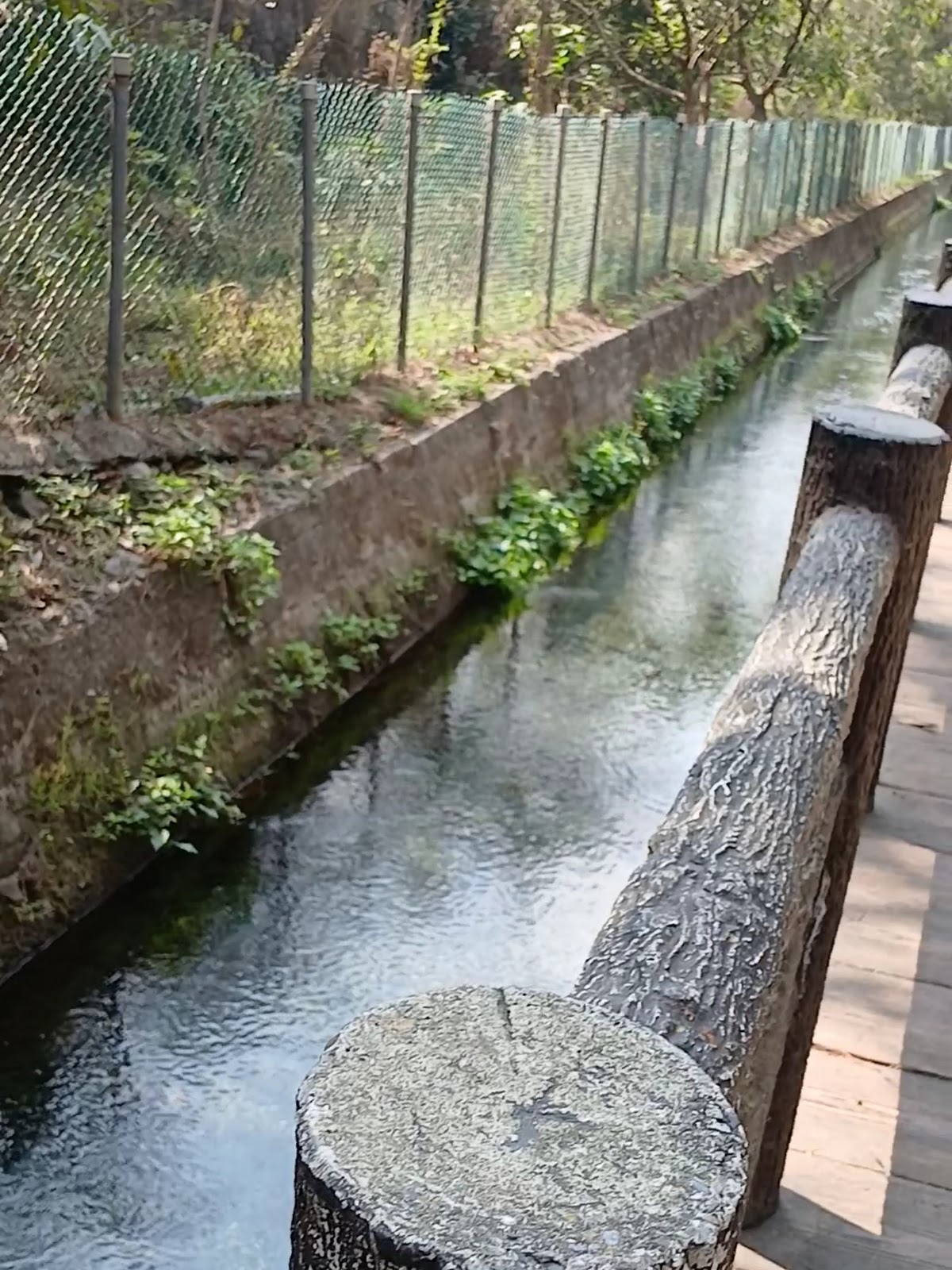 力力溪伏流水圳清澈水道，日治時期水利工程遺跡