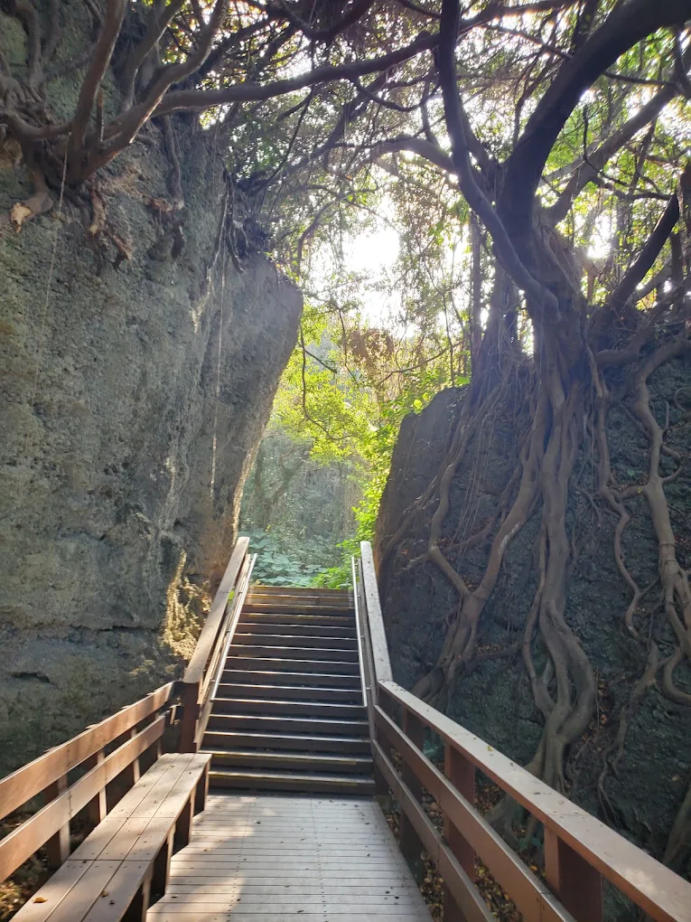 山豬溝生態步道