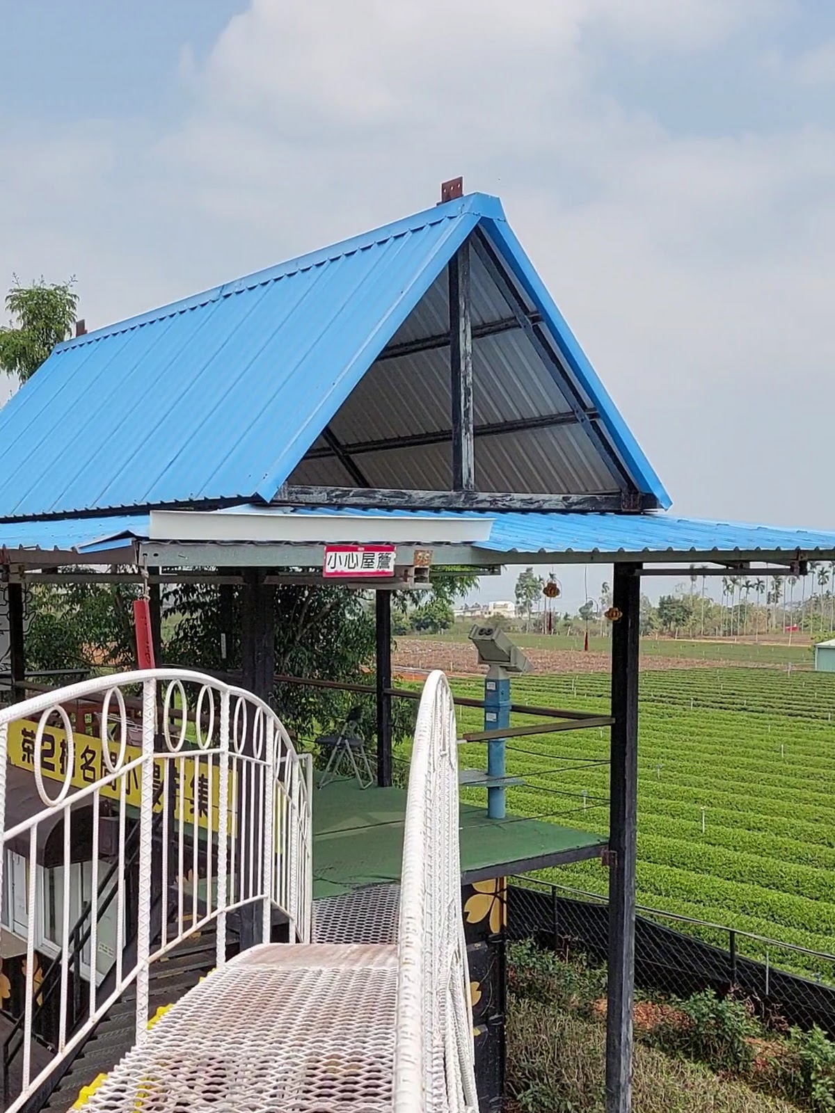 茶二指故事館天空觀景台眺望茶園