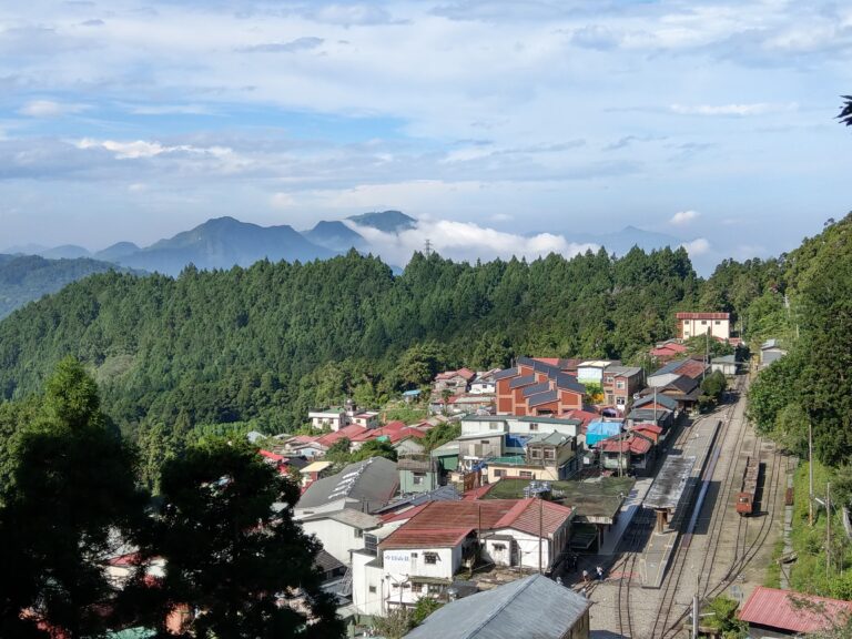 奮起湖深度攻略：老街、森林鐵道、步道與山城美食一次玩透