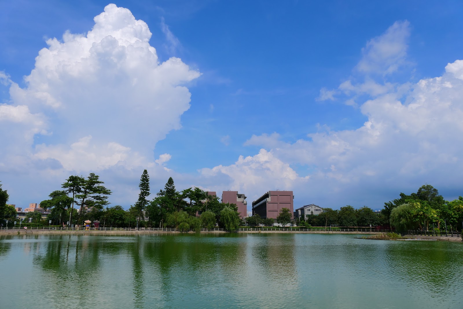 鑊篤陂塘生態公園湖面倒映藍天白雲