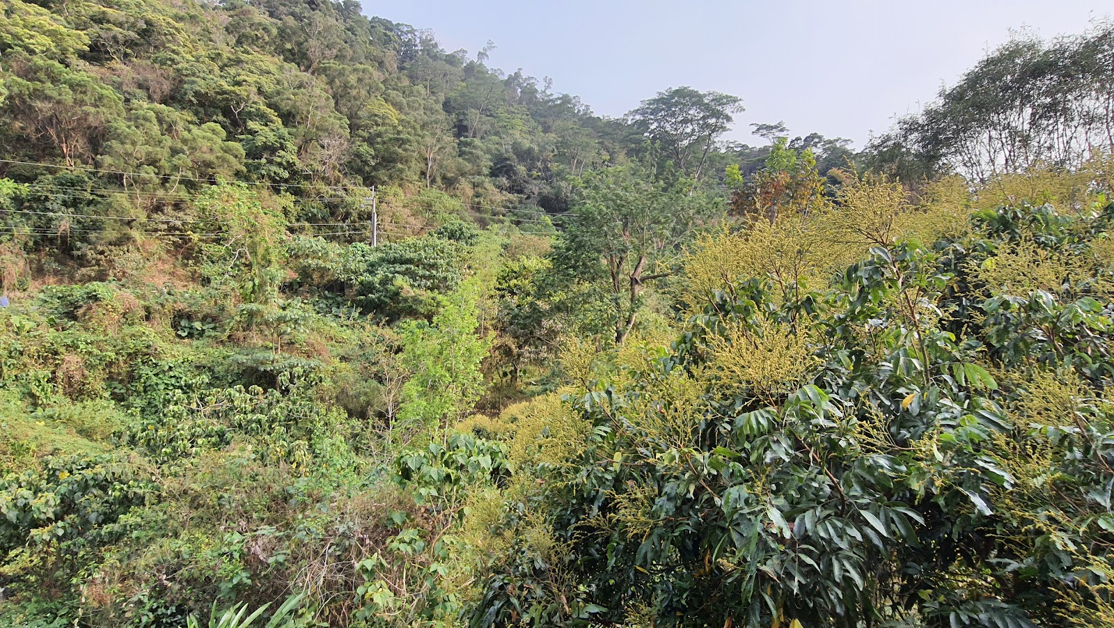 金梅軒小吃部周邊山景