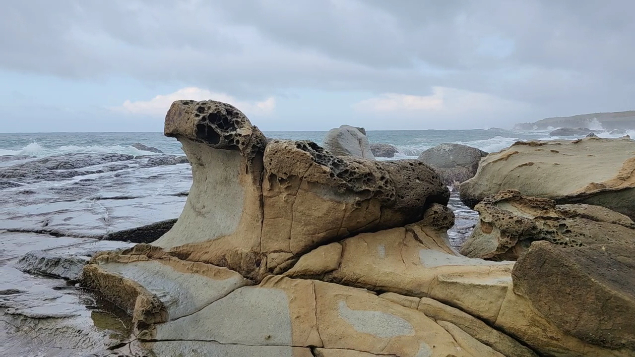 陰天浪花拍岸,海豹礁岩頭部側面清晰可見