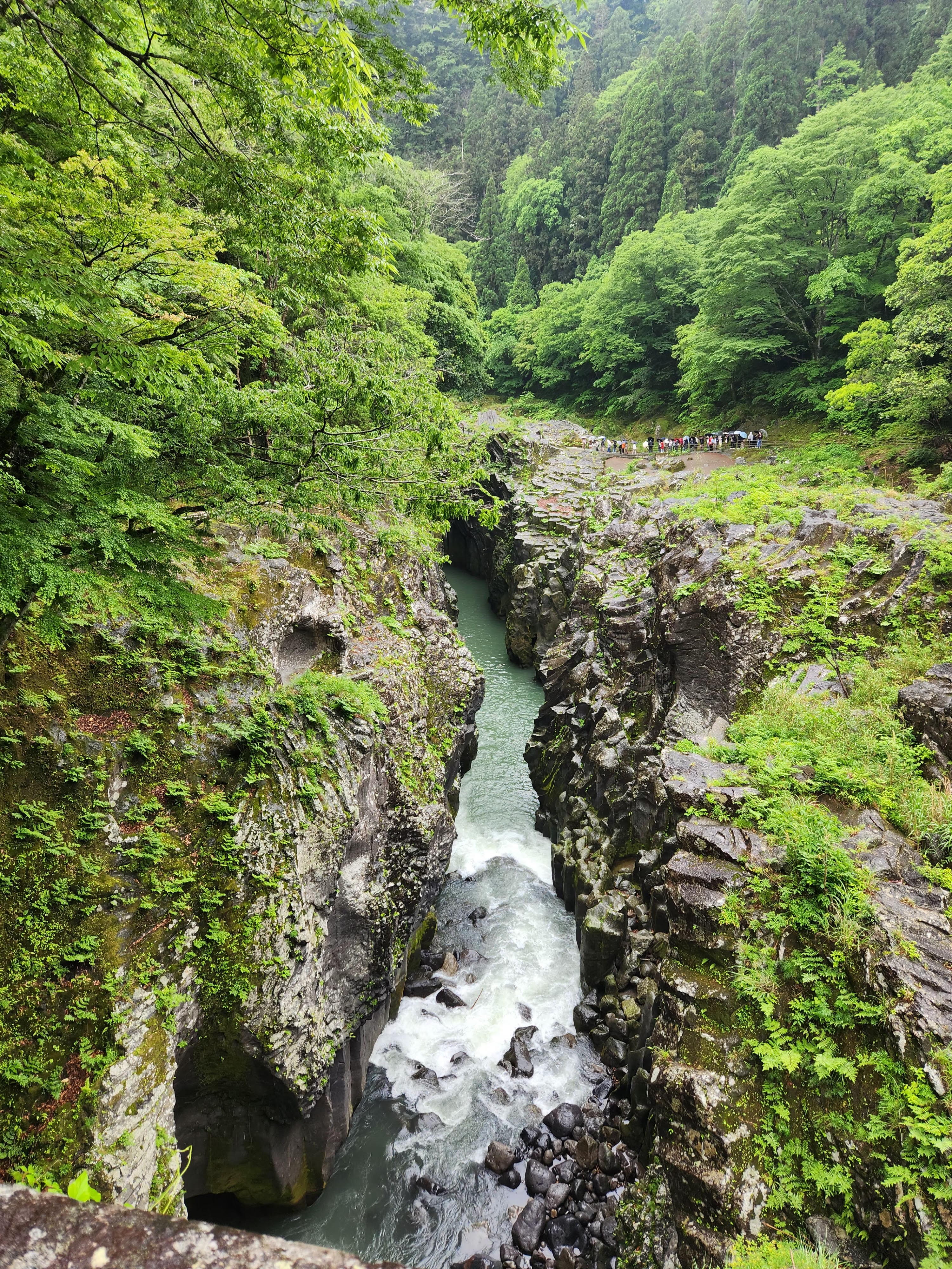 清澈溪流穿過岩石峽谷與綠樹景觀
