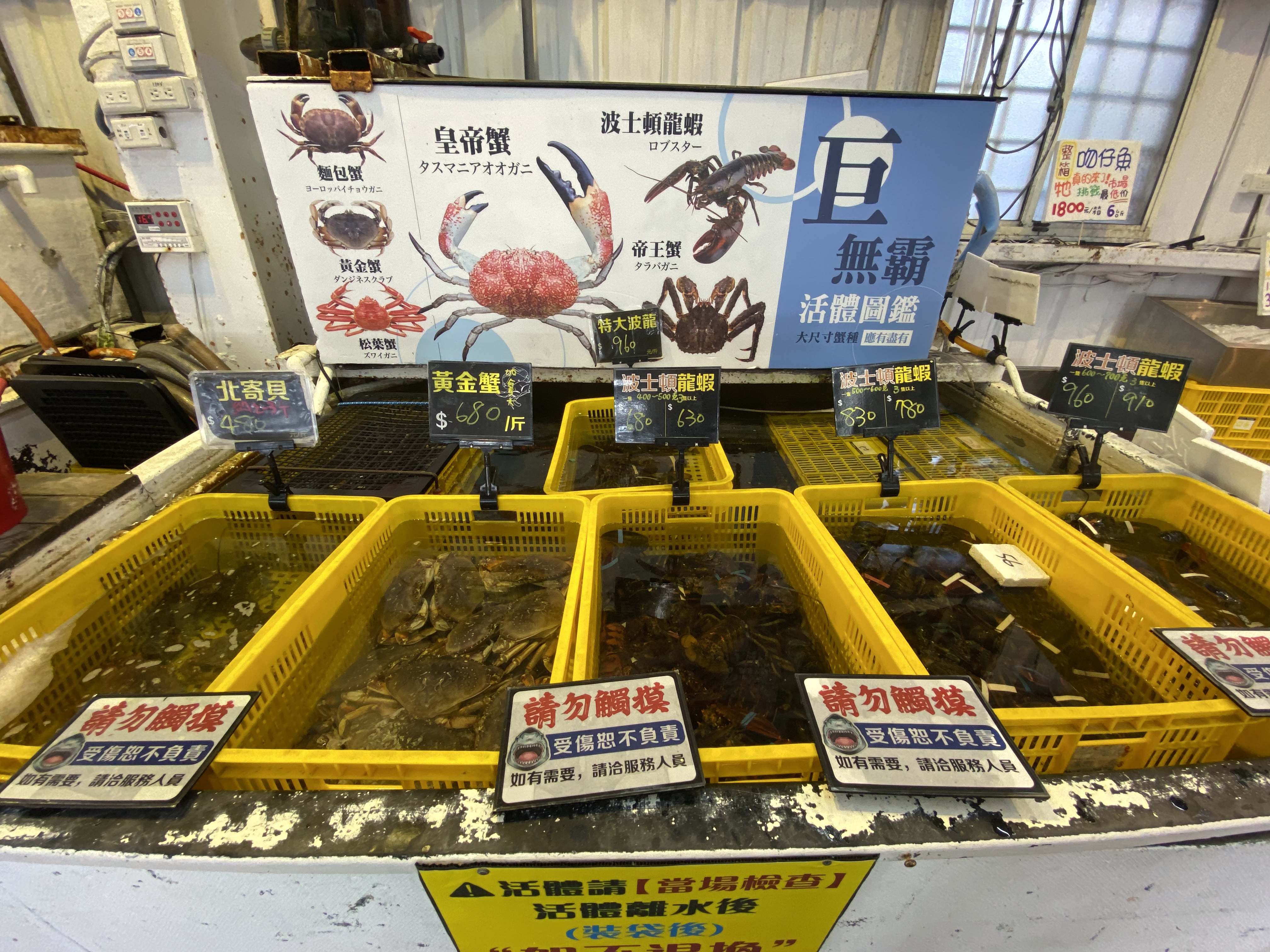 市場攤位展示北寄貝黃金蟹與波士頓龍蝦等活體海鮮