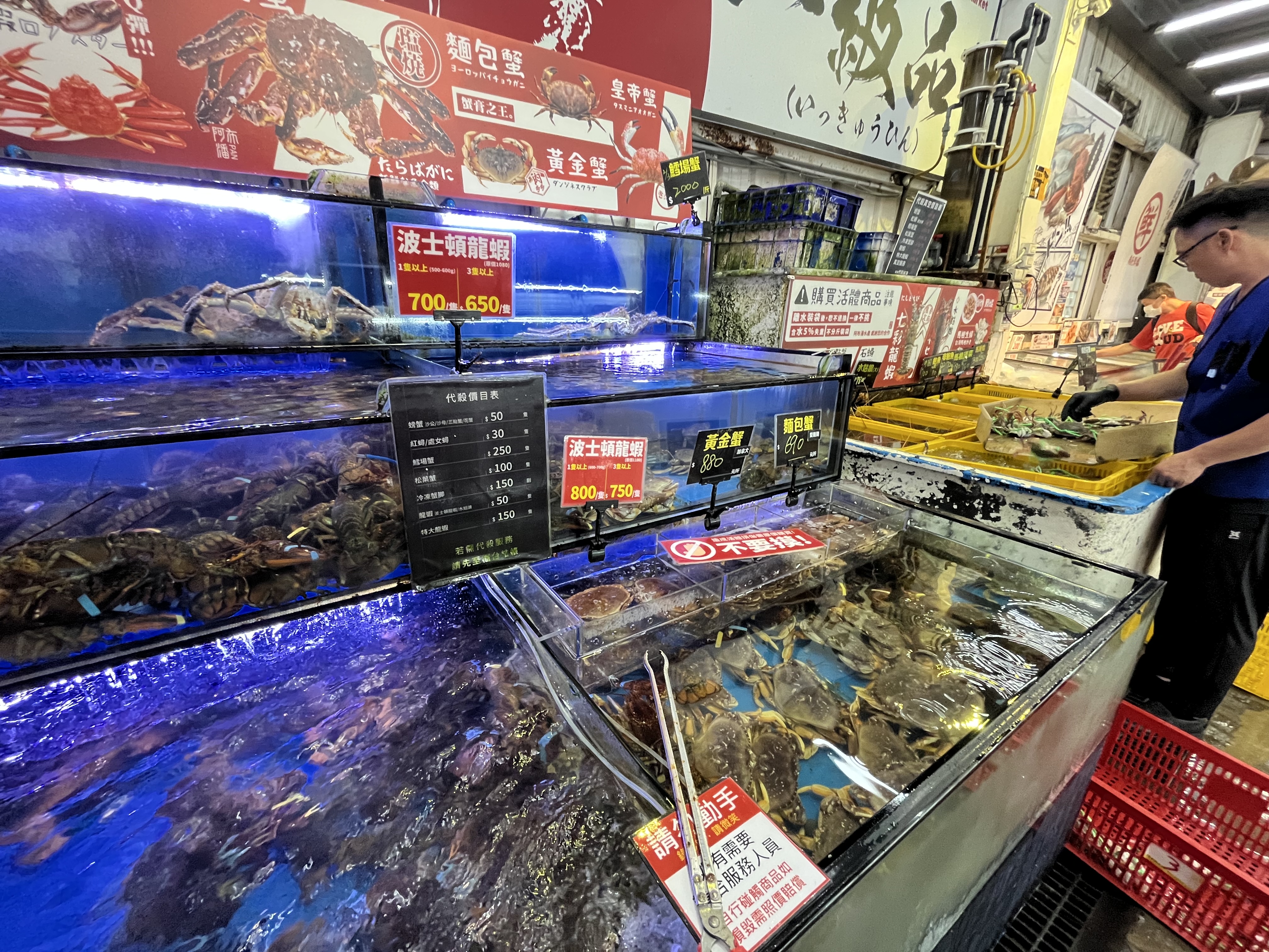 螃蟹與龍蝦水族箱，現場可見活體海鮮與處理區