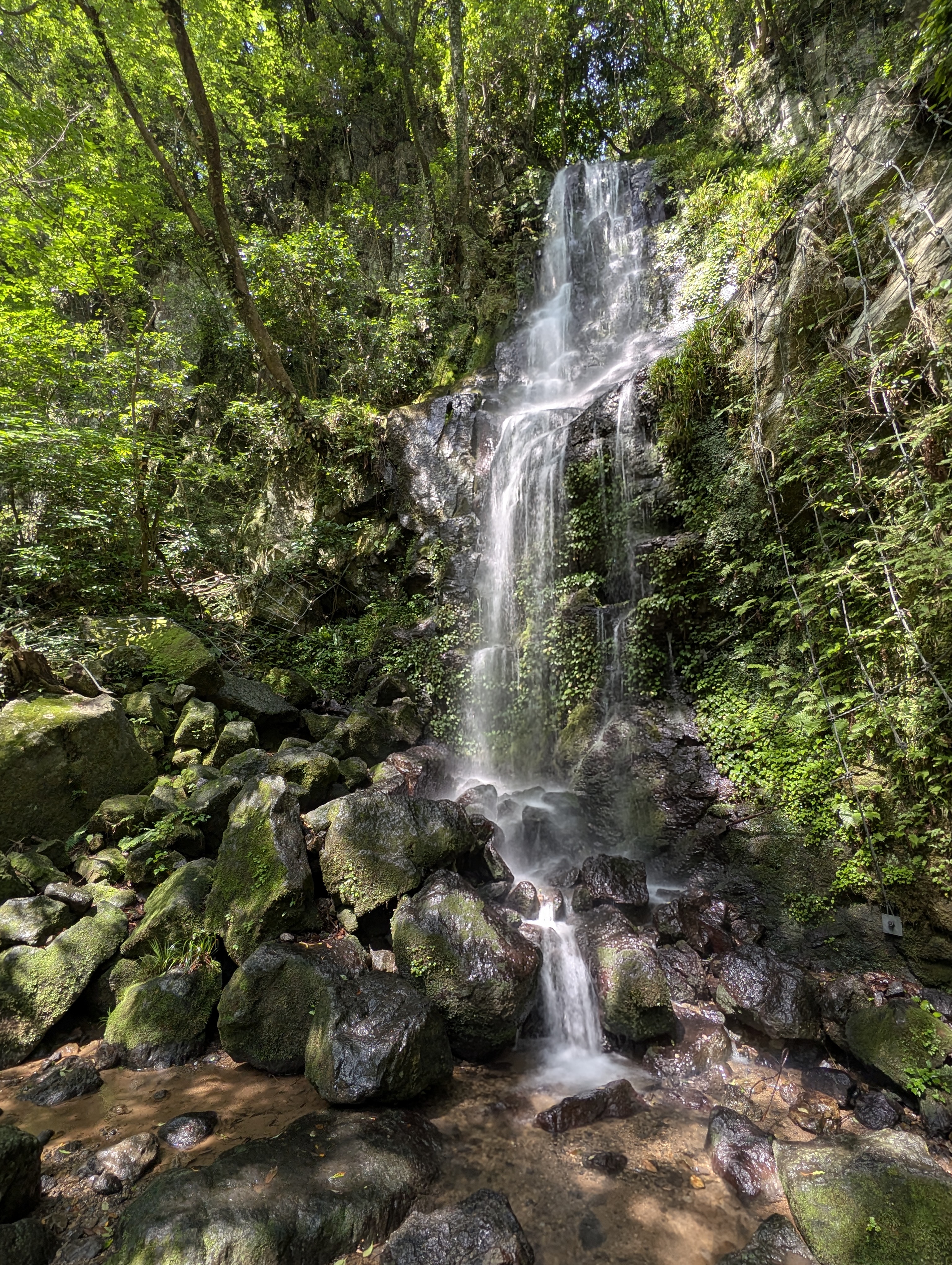 森林中的真名井瀑布近景