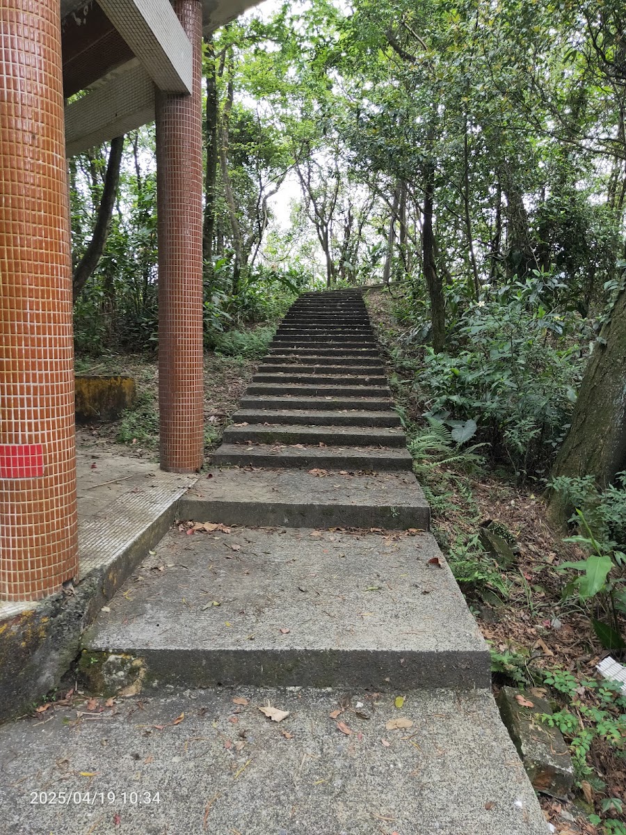 富健山公園-富健山公園步道,兩側樹蔭蓊鬱