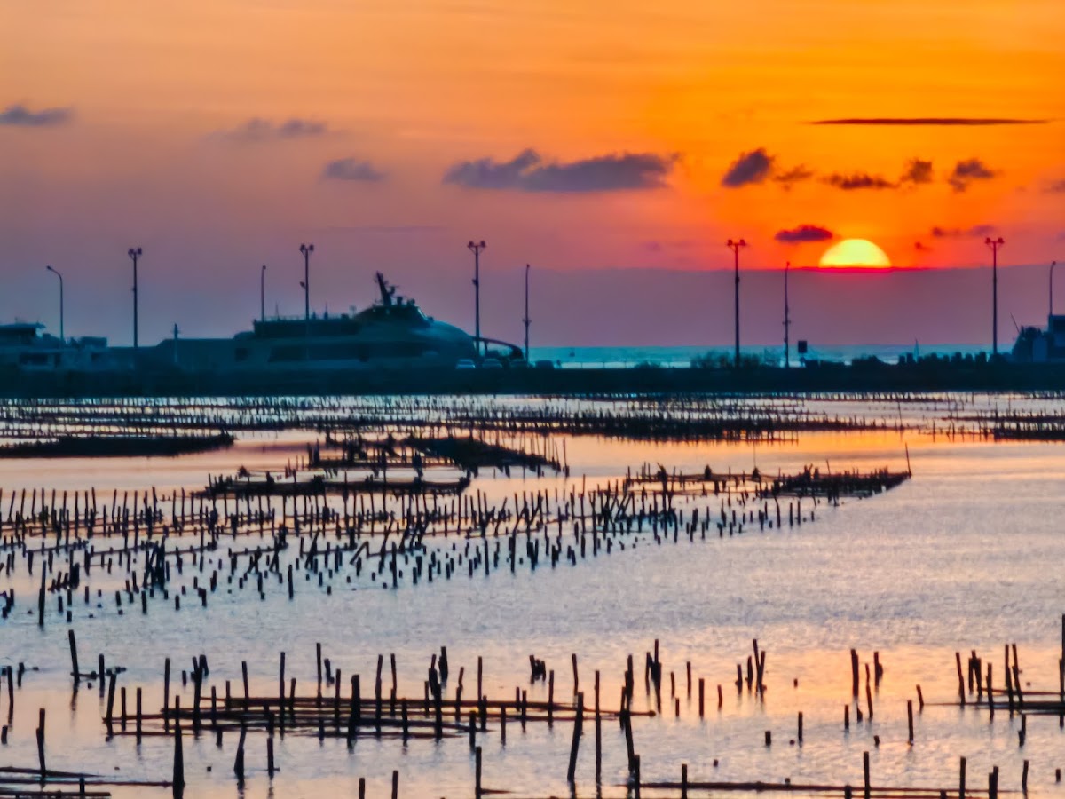 布袋漁港蚵棚夕陽剪影