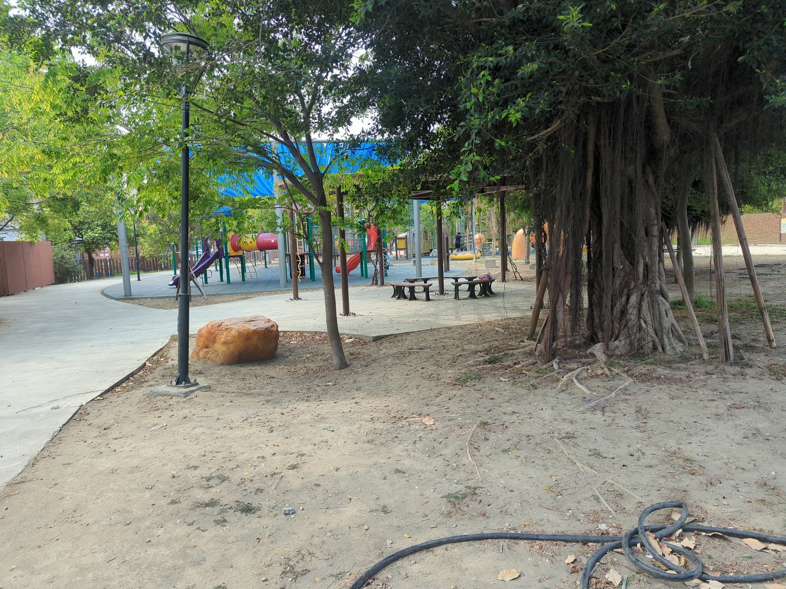 德美公園老榕樹遊具區