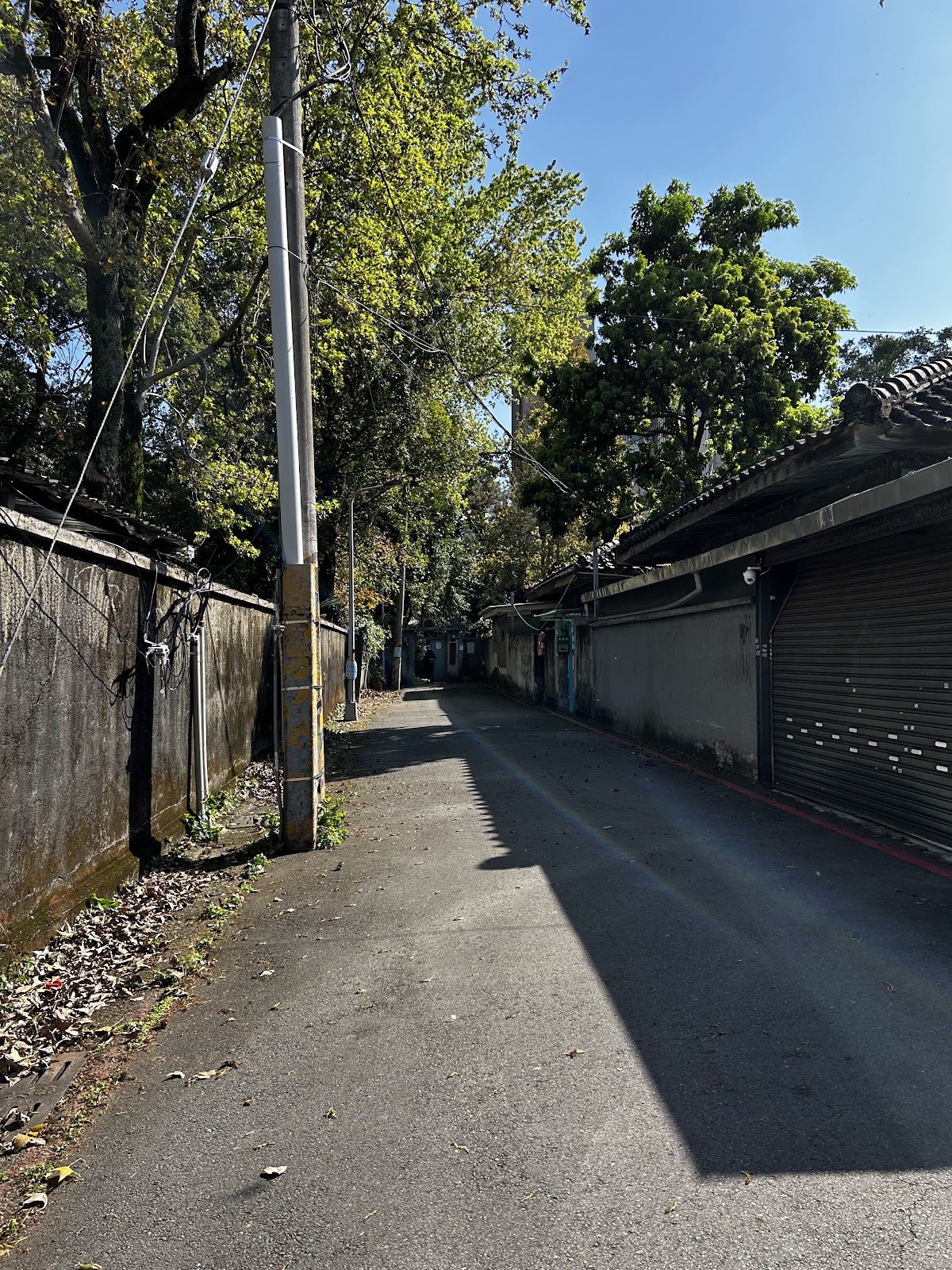 溫州街巷弄小徑通往殷海光故居,兩旁老樹與矮牆