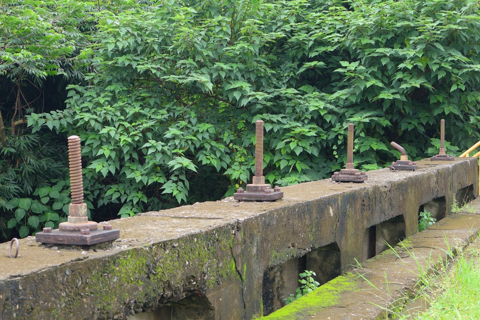 曹公圳舊圳頭水閘門螺栓特寫，周圍雜草茂密
