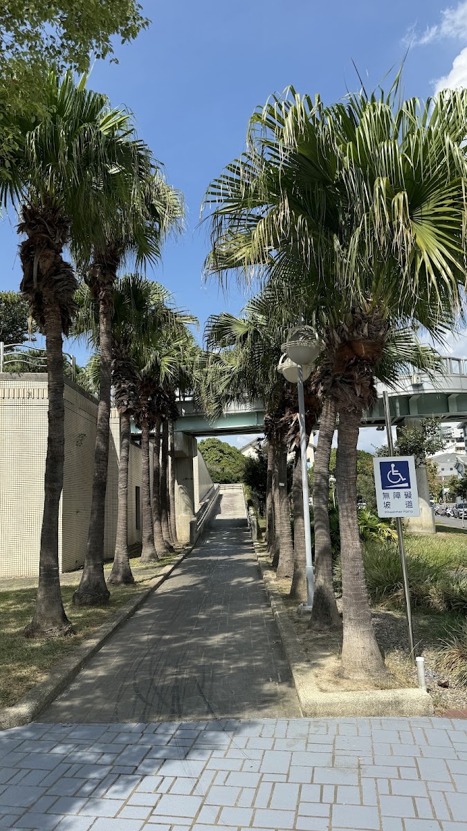 迪化污水處理廠附設休閒運動公園蒲葵步道