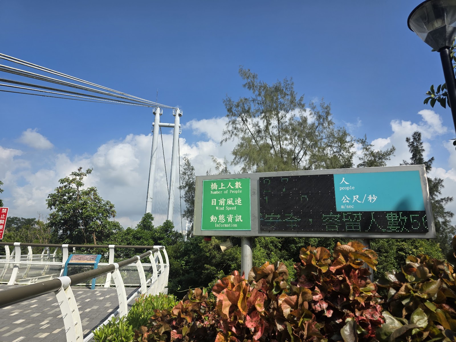 吊橋資訊看板搭配塔柱與花叢,提醒遊客步行人數與速限