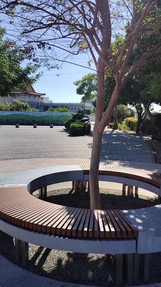 十四張圳水岸公園環狀木椅與大樹