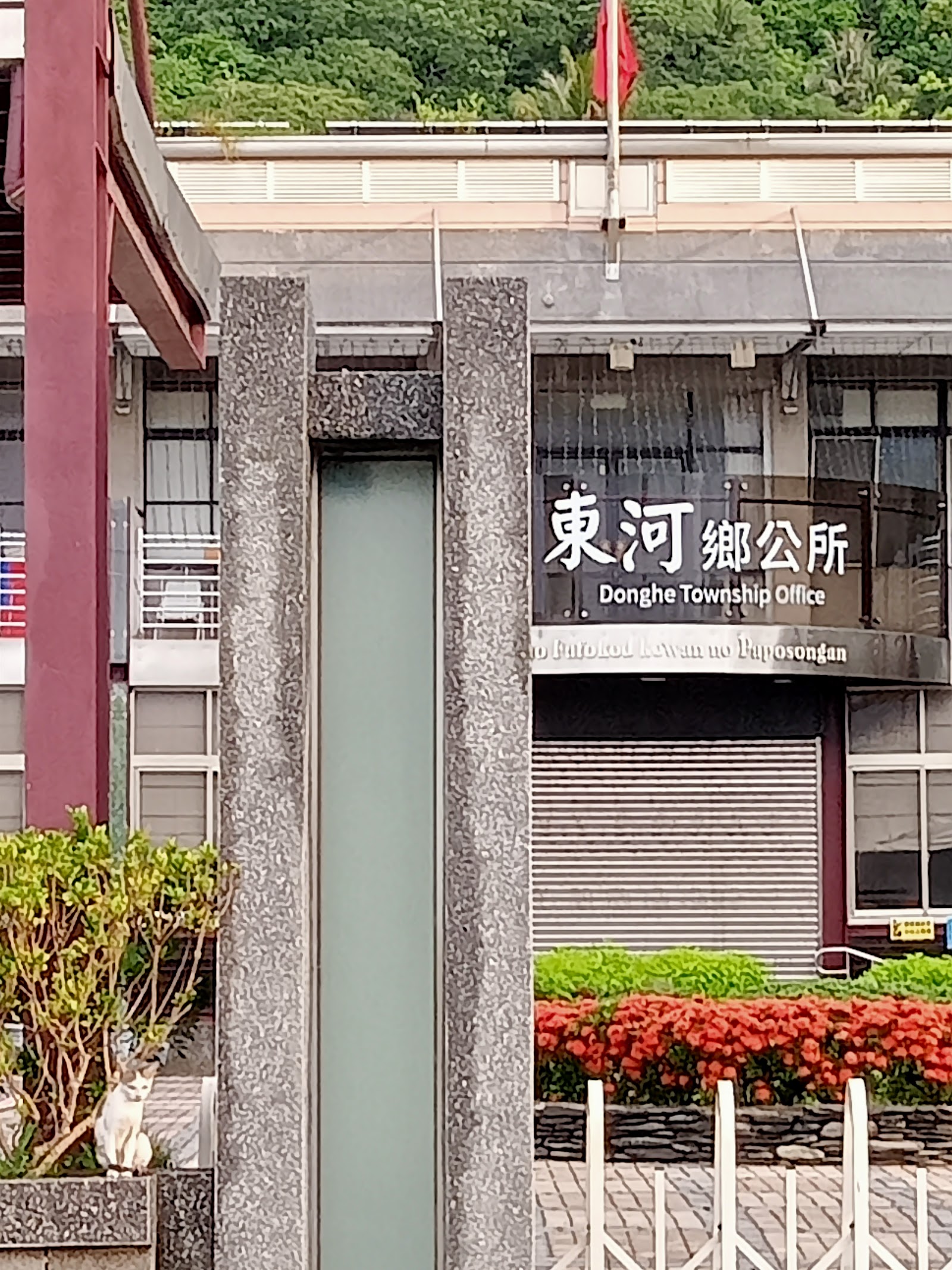 東河鄉公所招牌近拍與貓咪,台東縣東河鄉行政中心