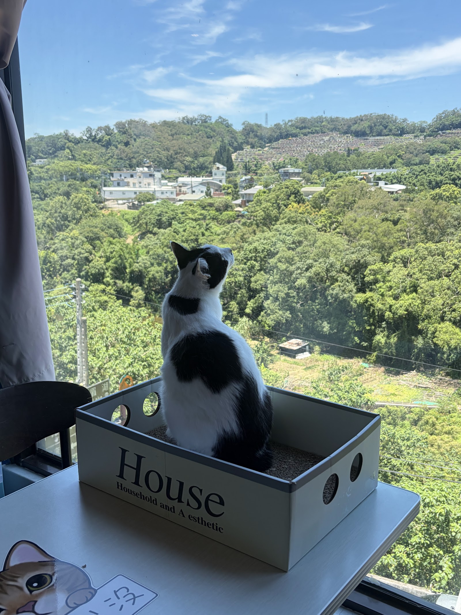 愛君堡咖啡窗邊花貓眺望峨眉山景