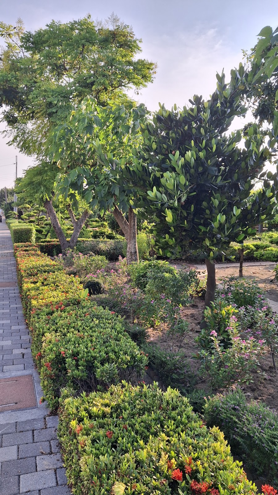 二崙運動公園花圃步道