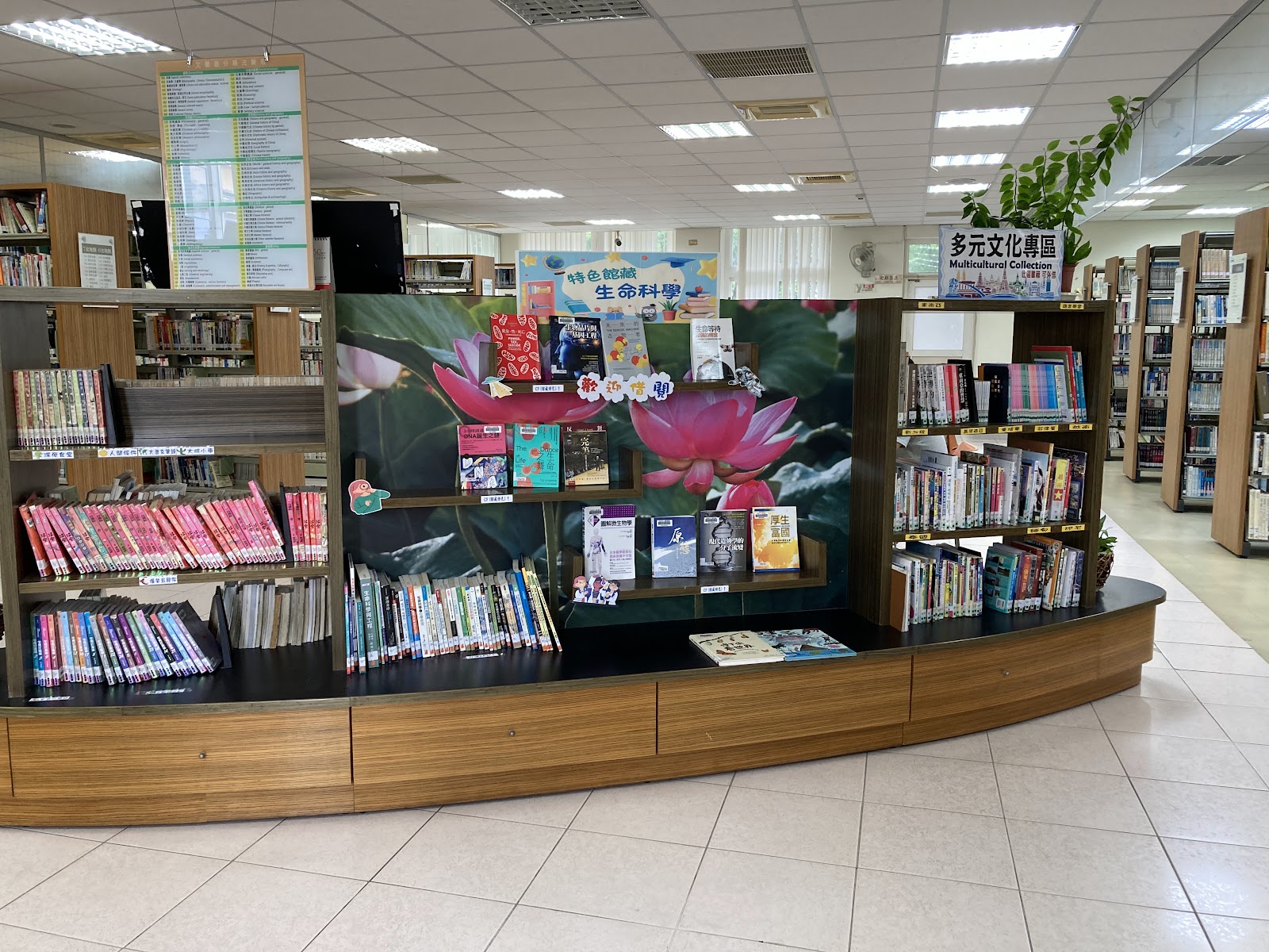 高雄市立圖書館鳳山二館多元文化專區書架