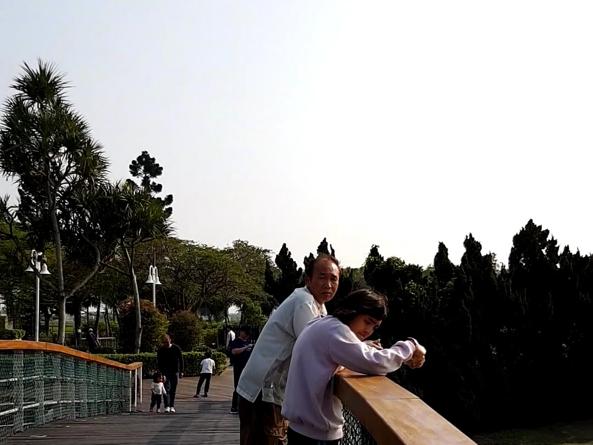 彰化溪州森林公園木棧橋眺望水岸