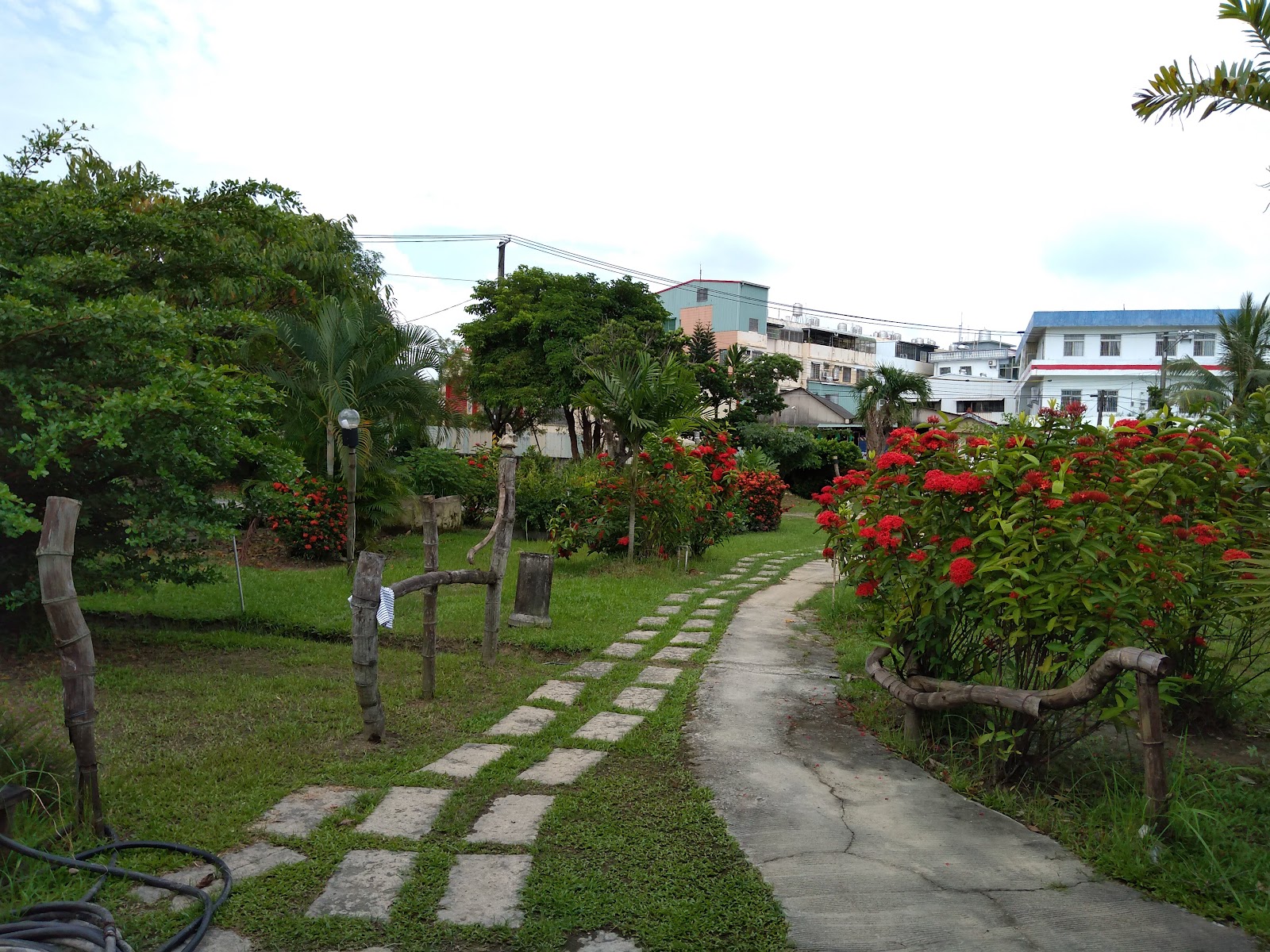 大自然庭園庭院步道 大自然庭園的石板步道,兩旁扶桑花開得鮮紅