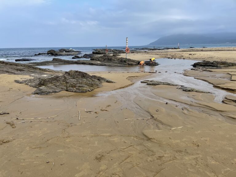 鹽寮海濱沙灘退潮後的礁石地景,遊客於遠處戲水撿拾貝類