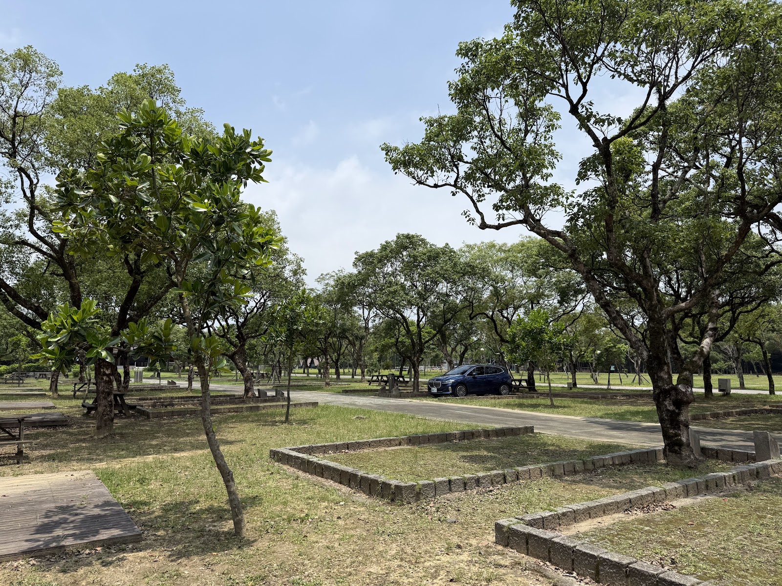 龍門露營區成排大樹與草地營位，石砌矮牆紮營區