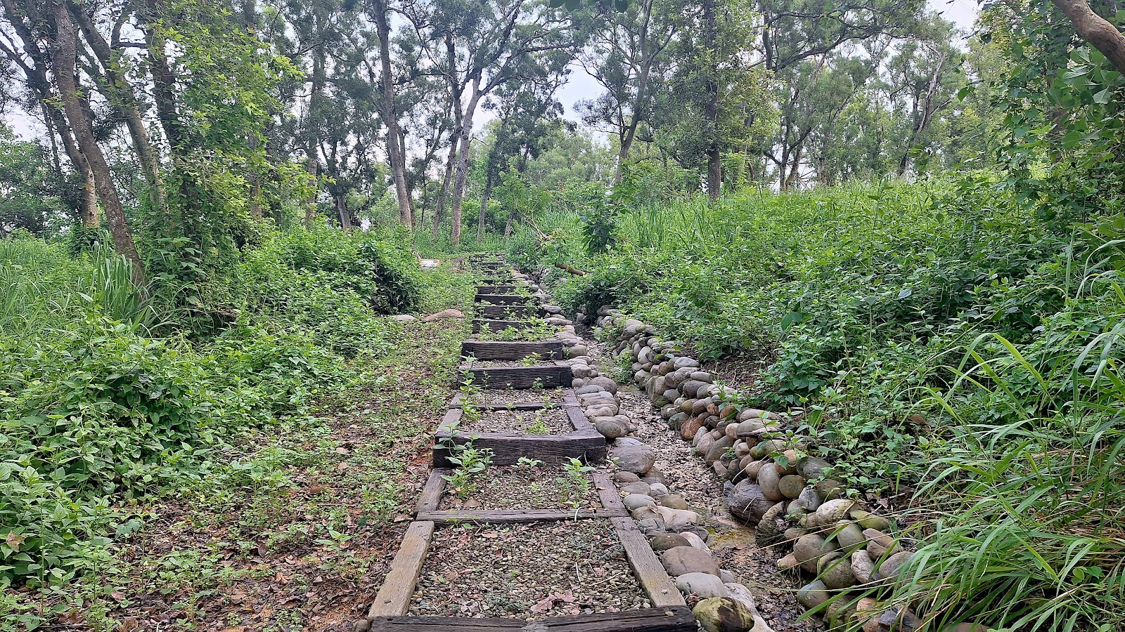 關廟森林公園林間步道