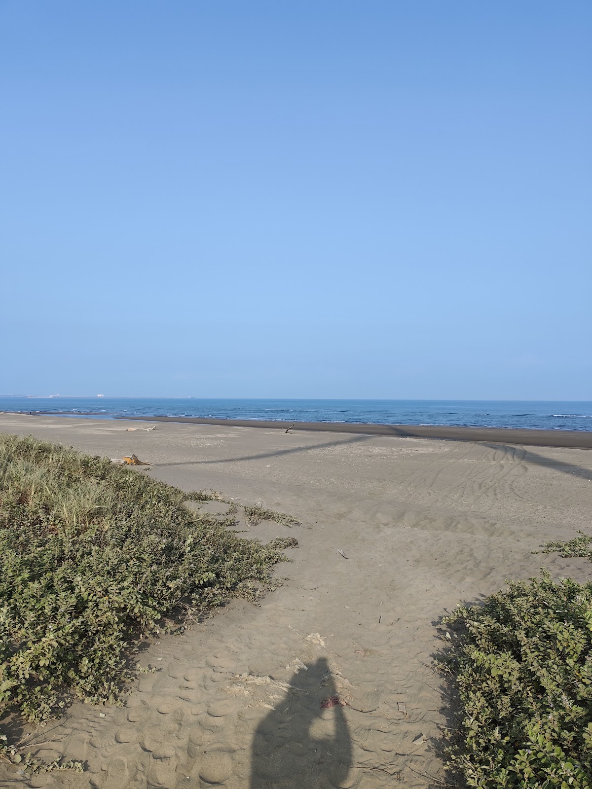 觀音白玉海堤沙丘步道