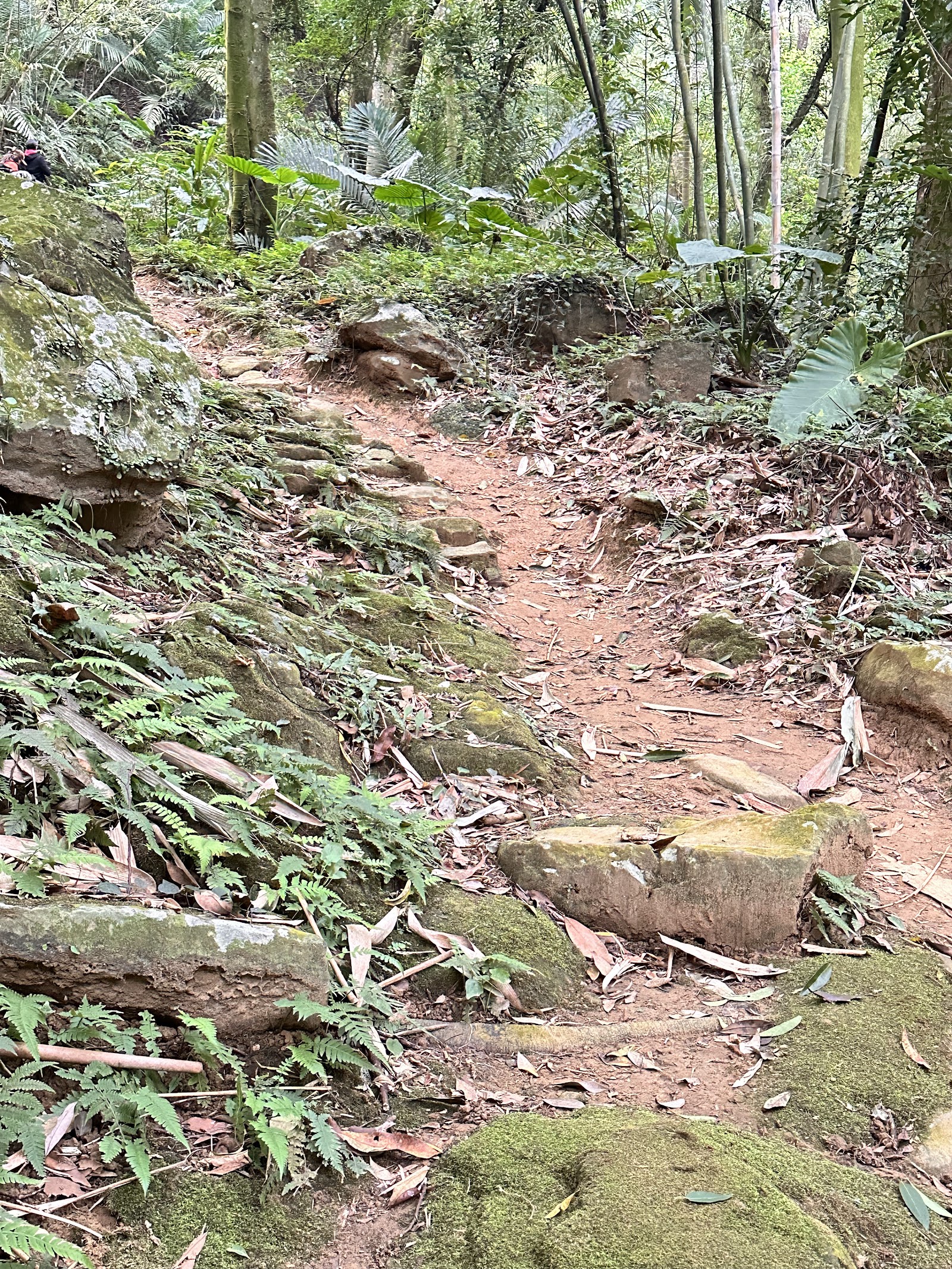 石雲森林步道紅土碎石山徑,路面原始天然