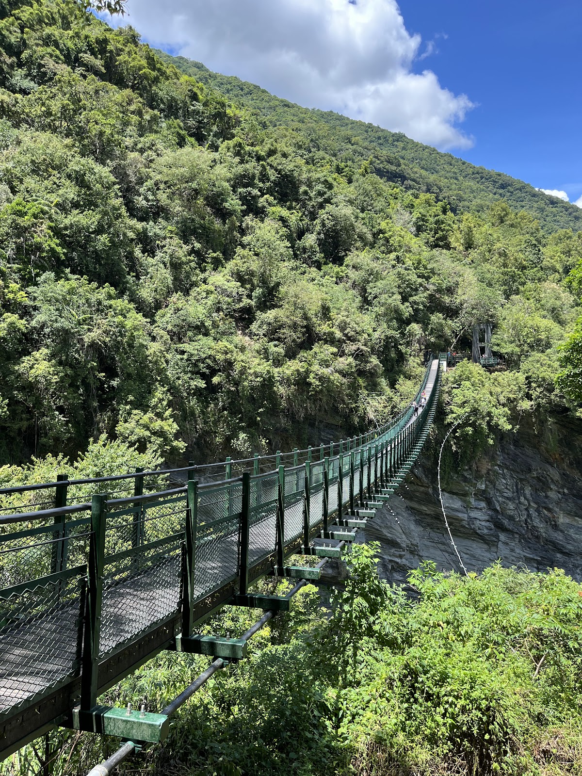 關山圳峽谷吊橋景觀