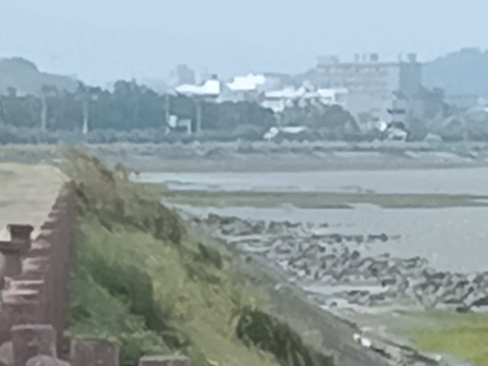 風情海岸堤防步道俯瞰潮間帶濕地