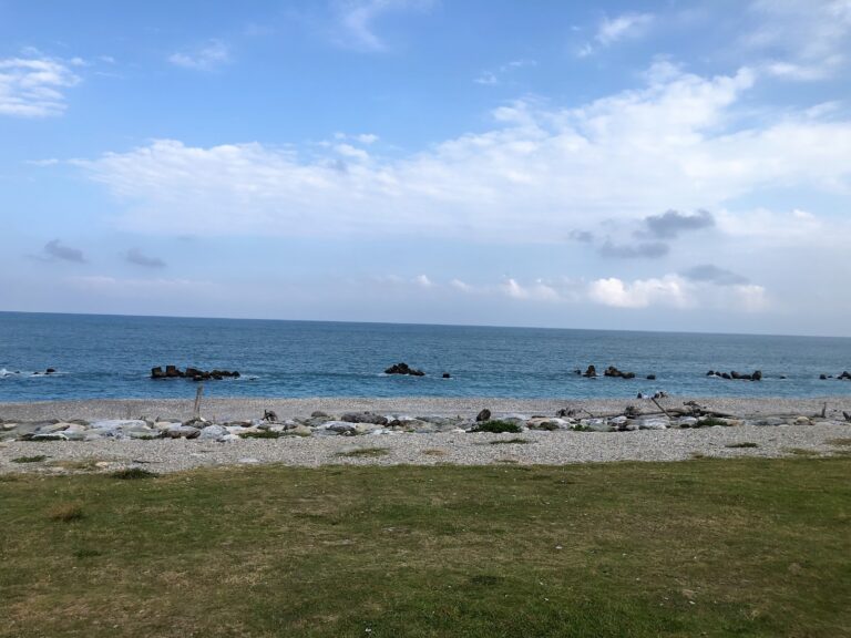 太平洋公園海岸線草地礫灘