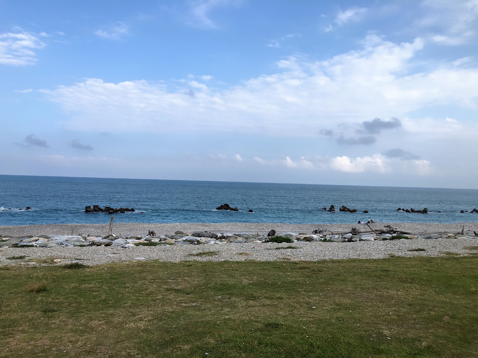太平洋公園海岸線草地礫灘