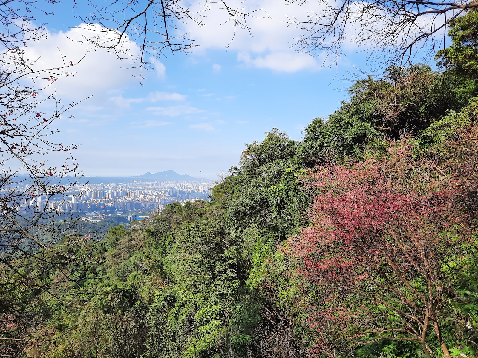 太極嶺稜線展望台北盆地景色