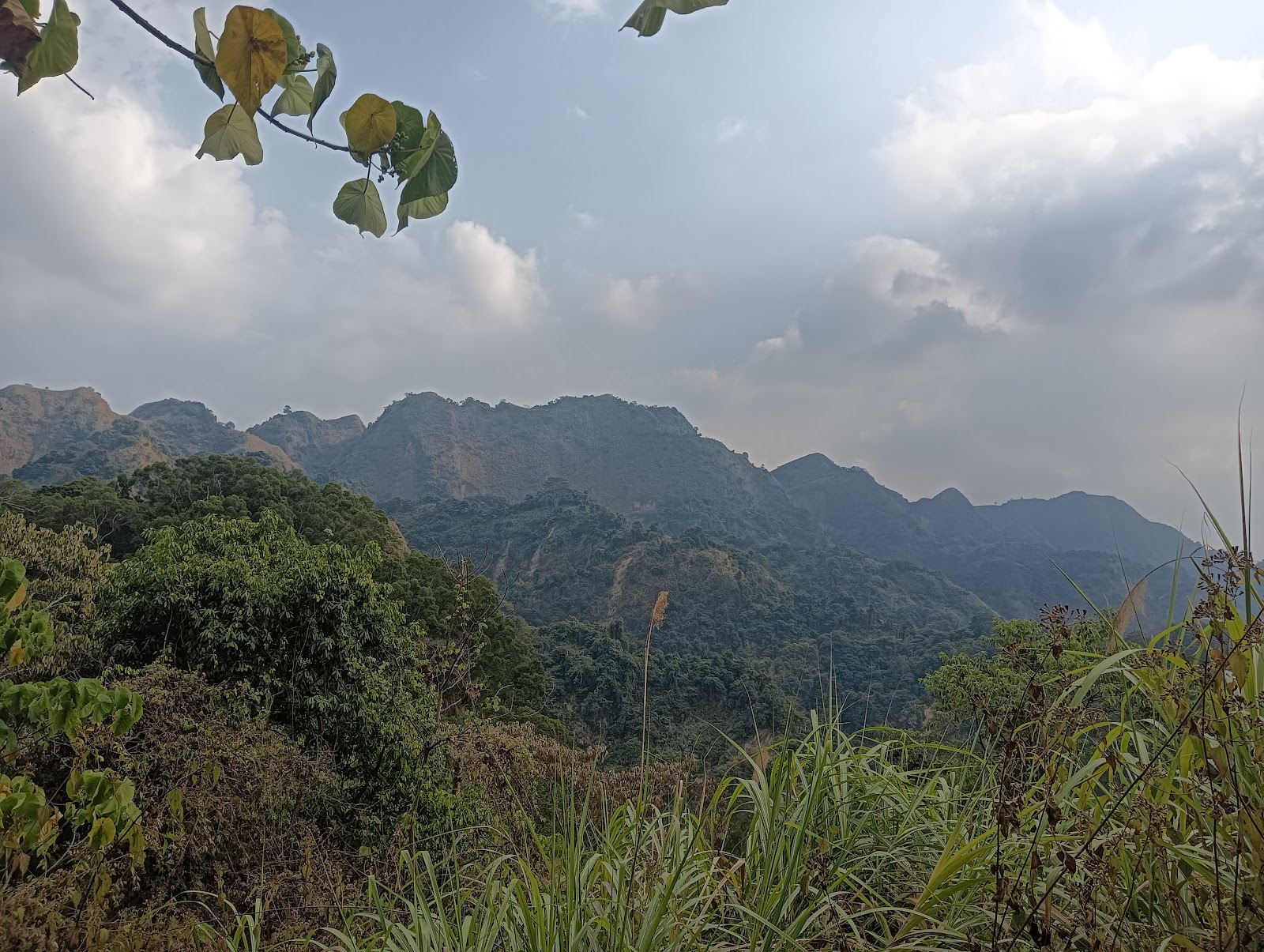 北坑溪步道登山稜線遠眺,層疊山巒景色,台中霧峰桐林里步道
