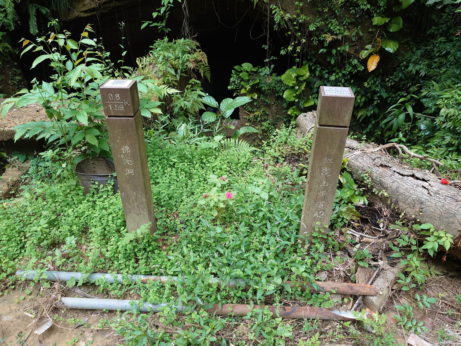 佛光洞步道指標木樁,刻有紅淡山步道字樣