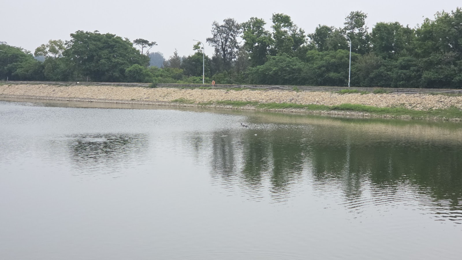 太湖遊憩區湖畔步道 金門生態公園