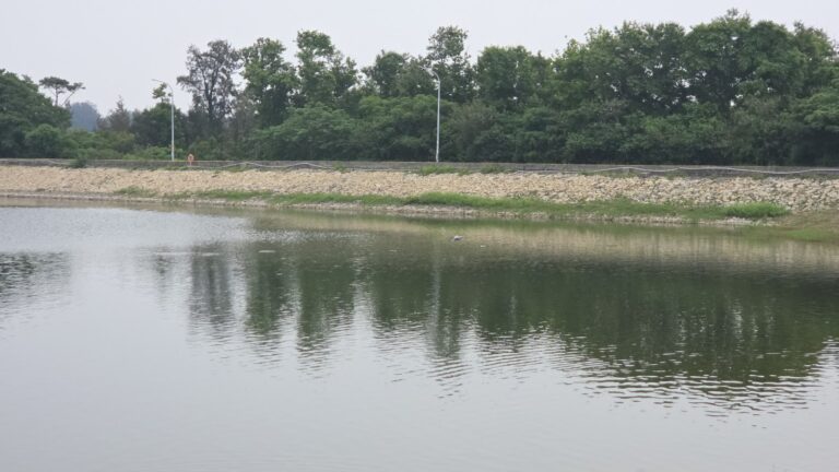 太湖遊憩區湖岸風光 金門最大湖泊