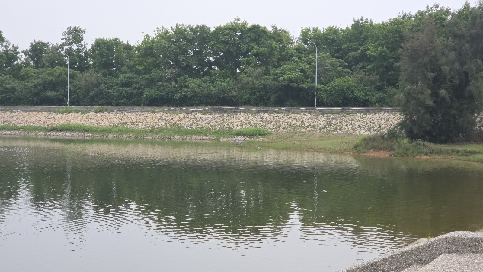 太湖遊憩區另一角度湖景 金門太湖