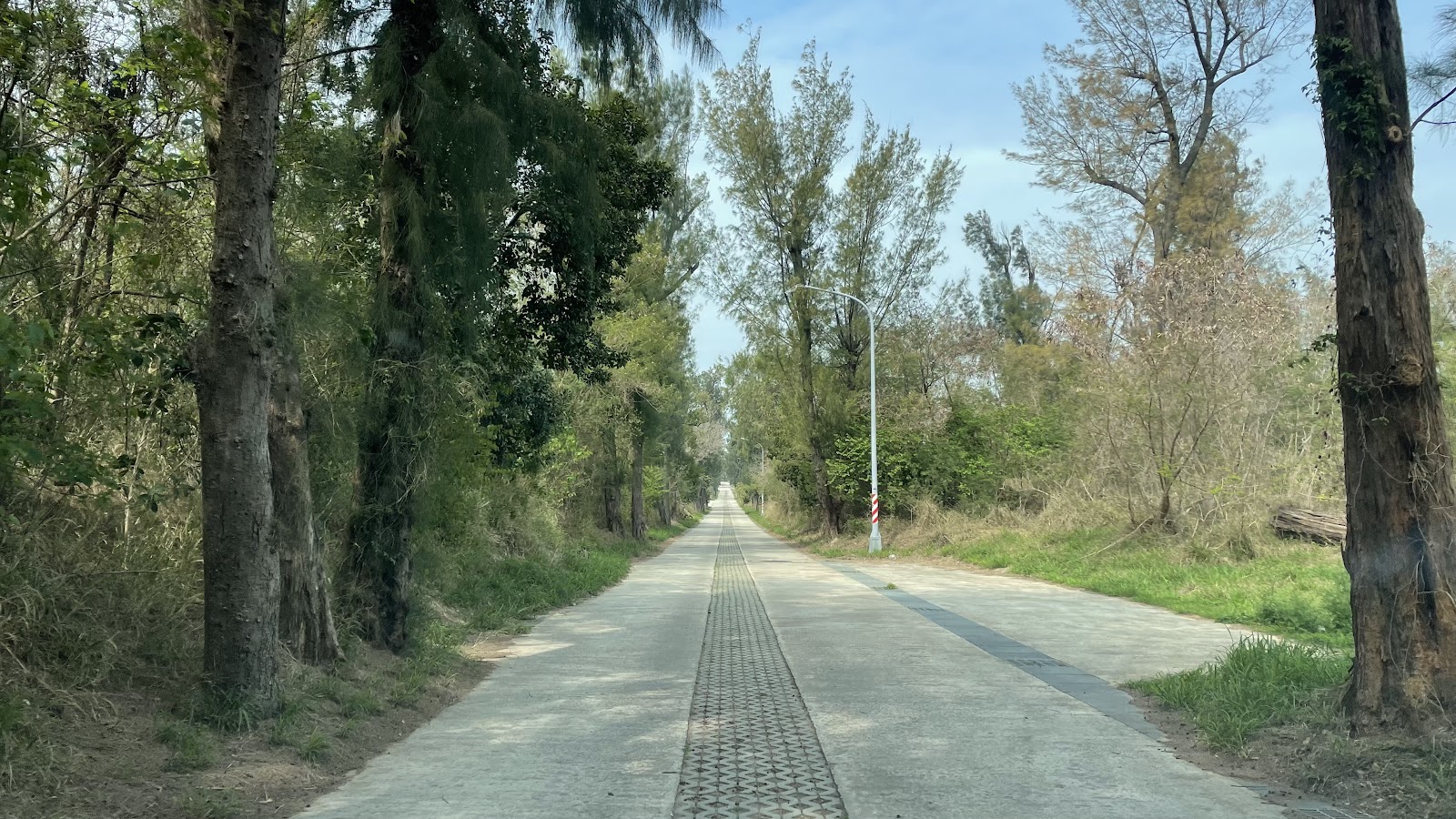 通往官澳聚落的木麻黃林蔭道路,寧靜筆直的鄉間小徑