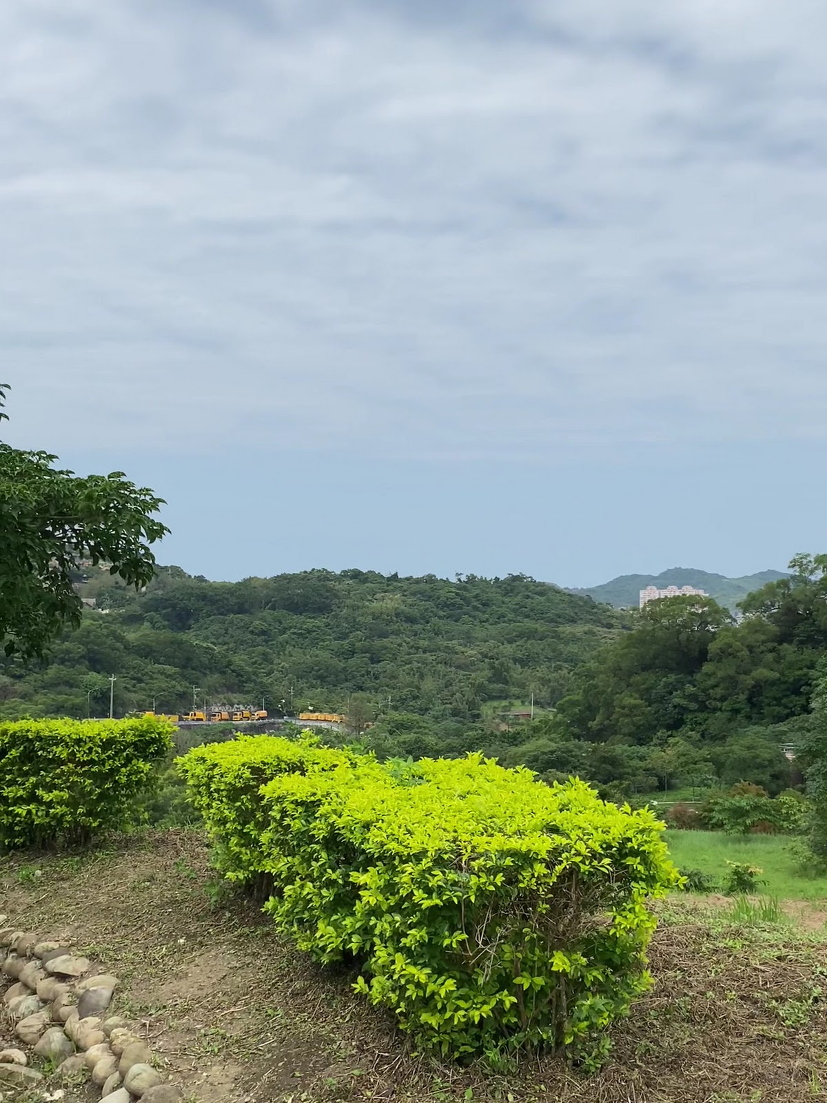 天外天復育公園山坡綠意景觀