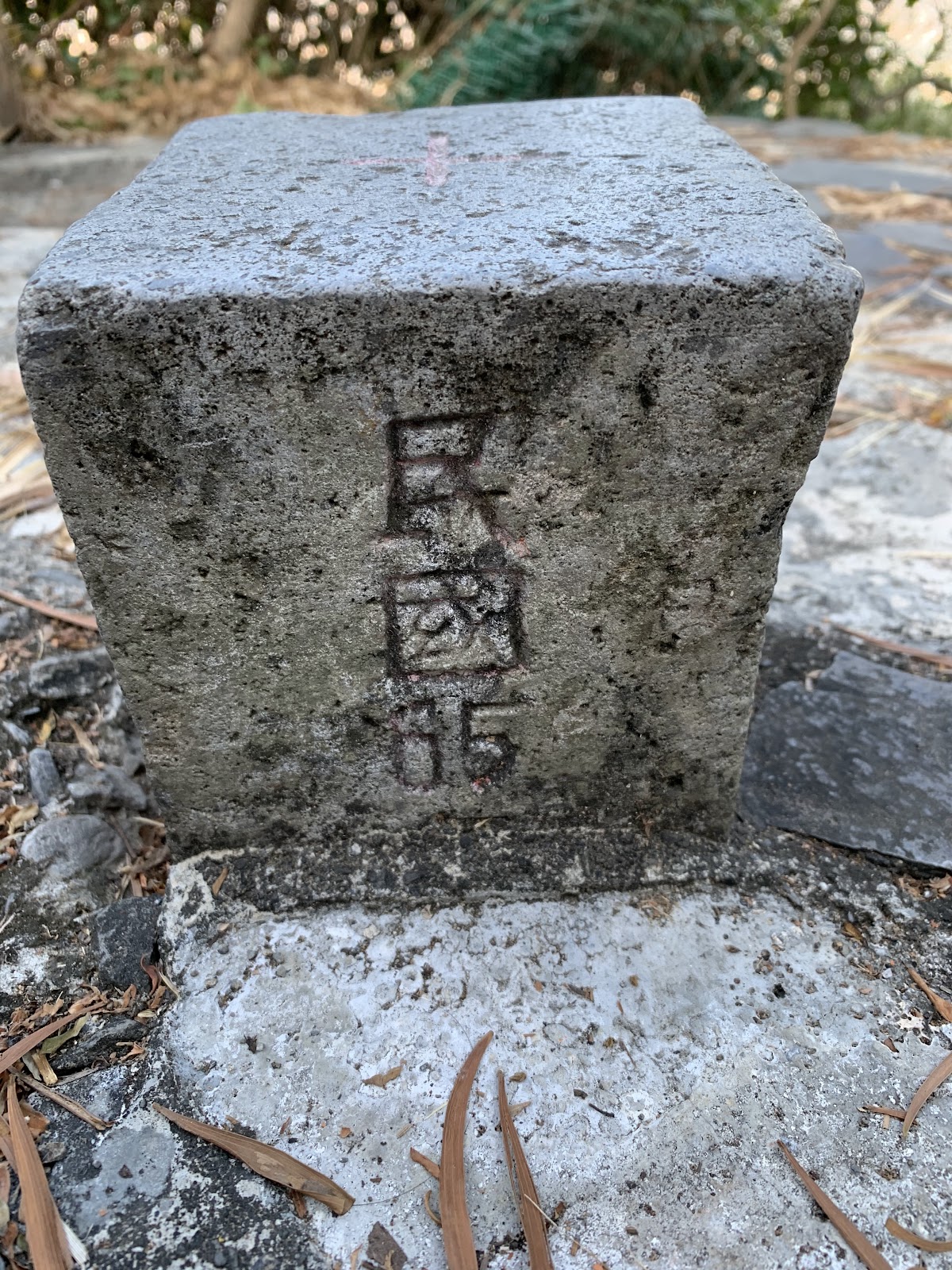 天洞朝暾步道旁的日治時期三角點基石