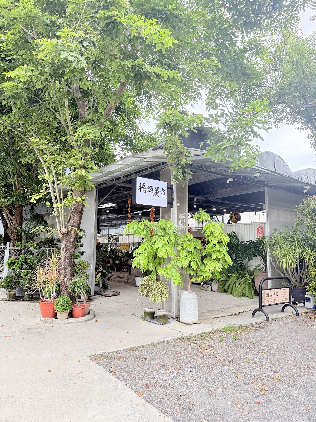 橋頭休閒花市觀葉植物區