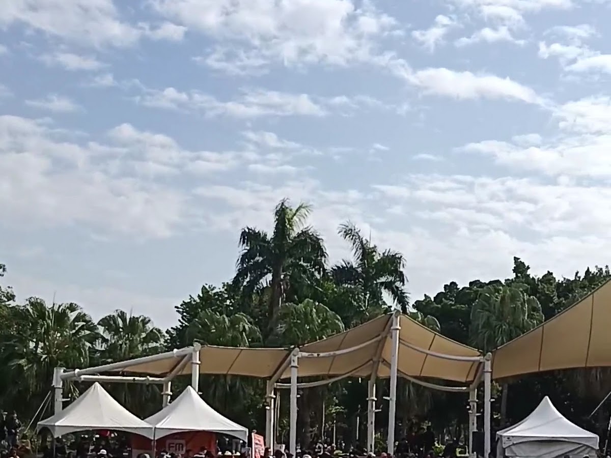 高雄公園造型遮陽棚與大王椰子林