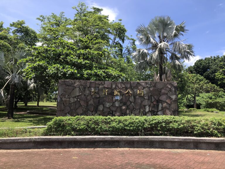 大坪頂公園入口石砌招牌,椰子樹與藍天相映