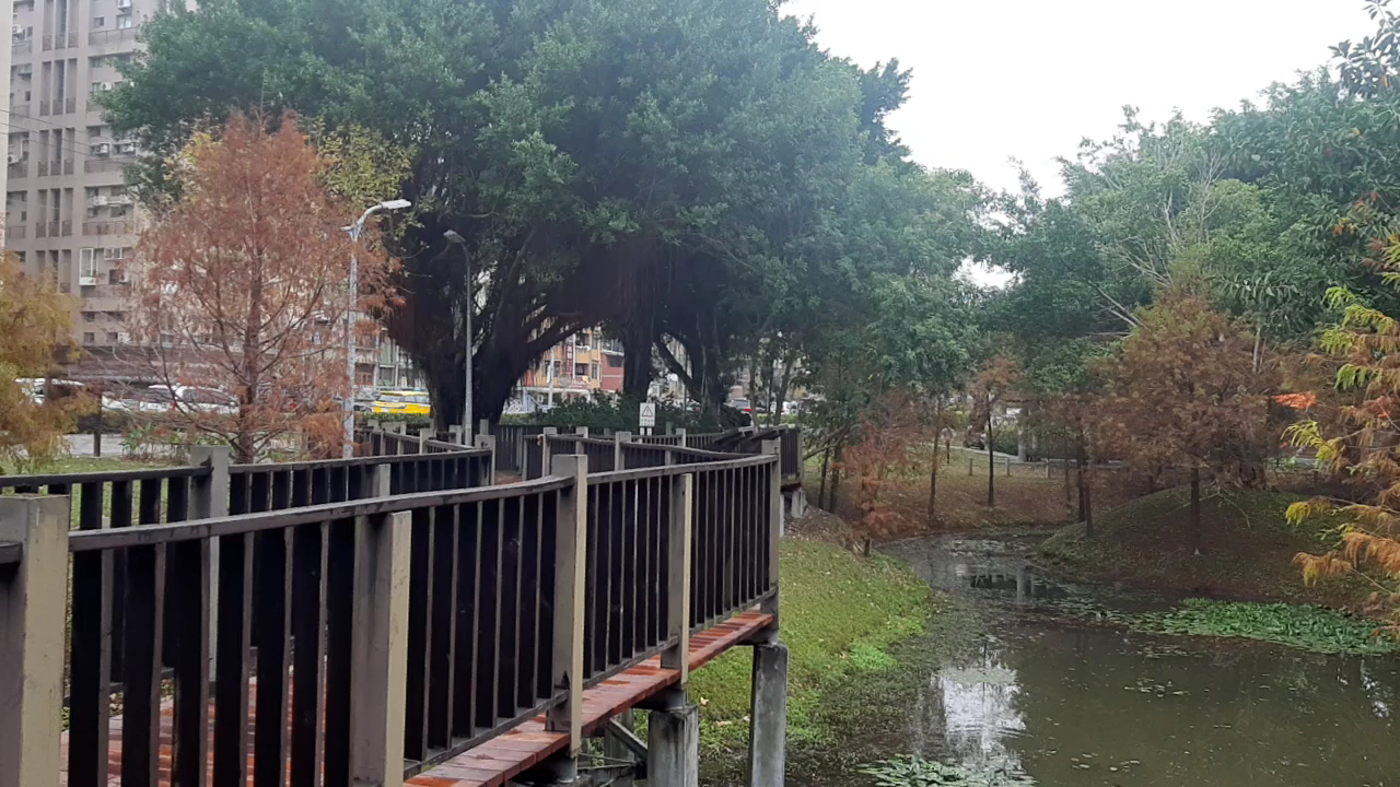 奇岩一號公園秋日木棧道