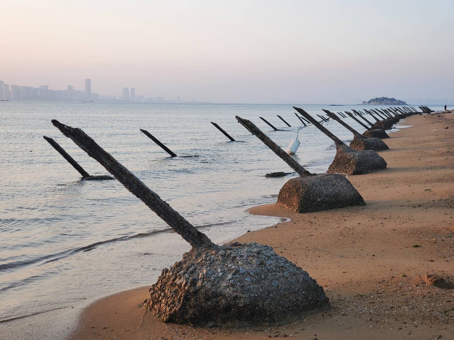 湖下海堤軌條砦反登陸樁遺跡