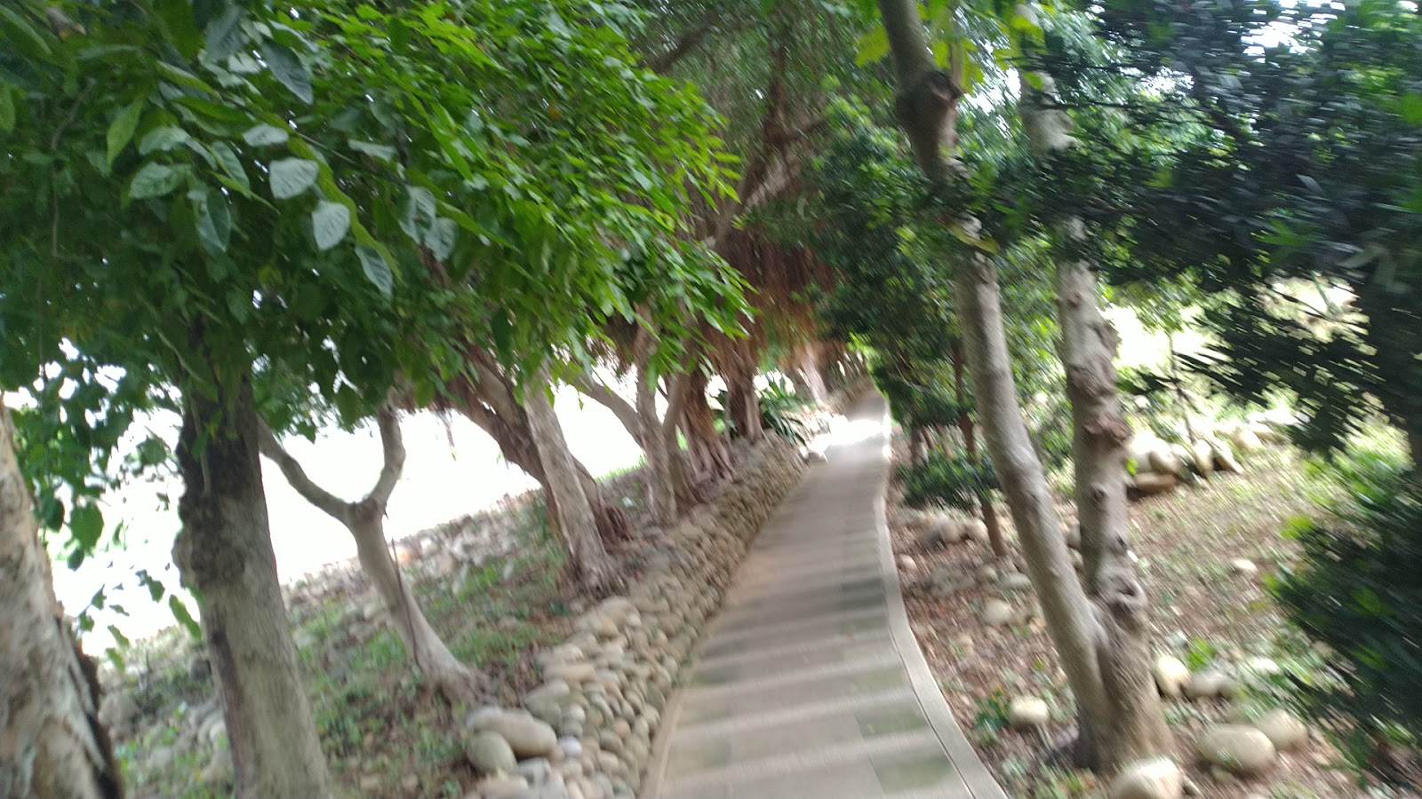老街溪河濱公園石砌步道綠蔭散步小徑