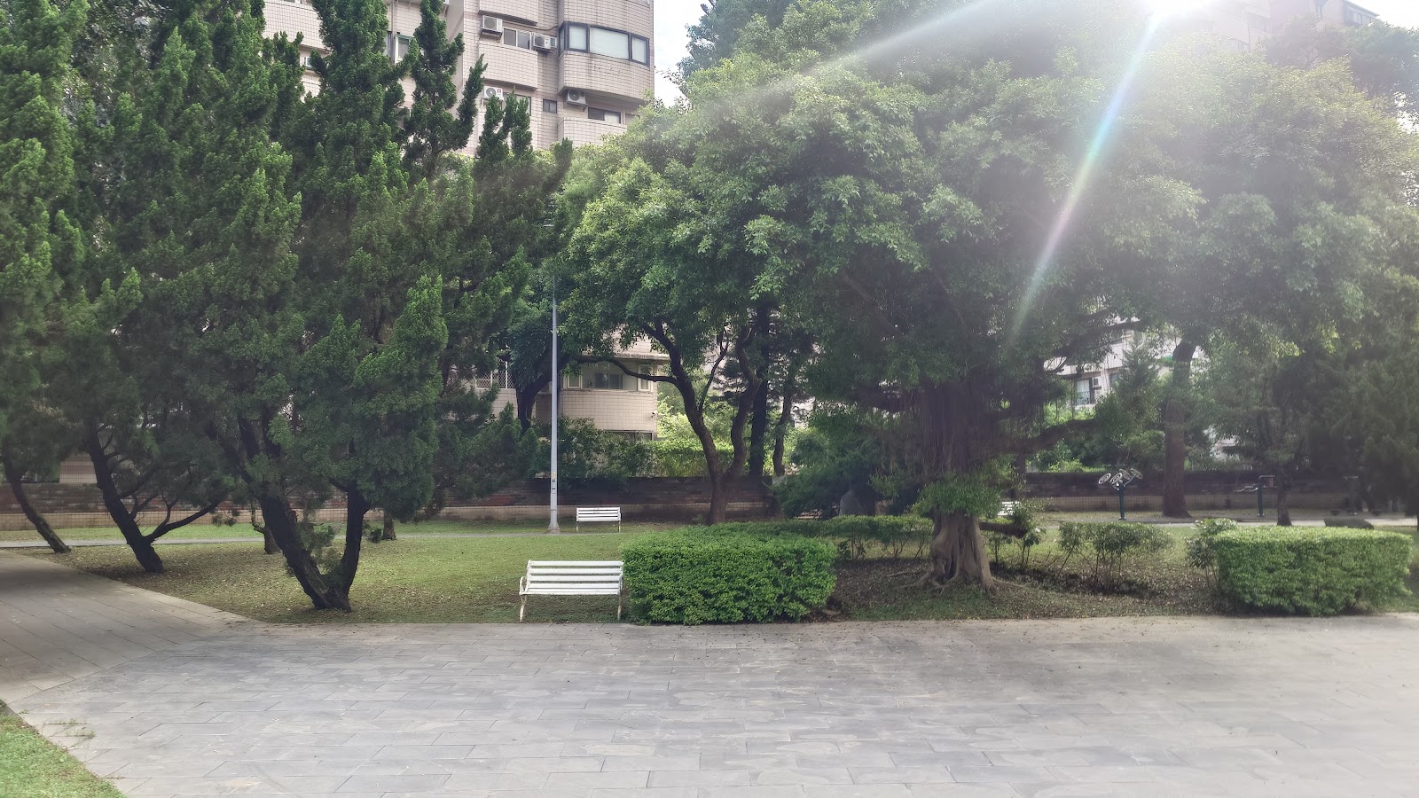 林口四維公園林蔭長椅角落